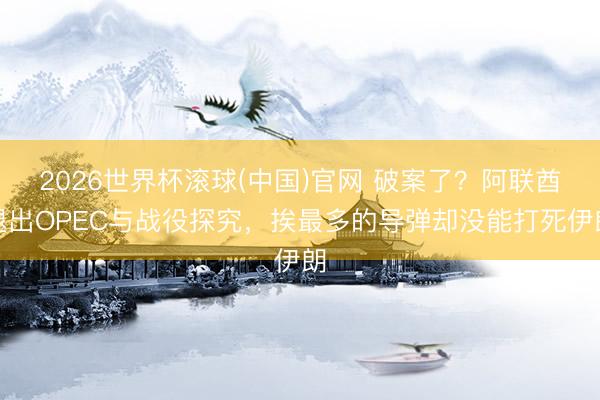 2026世界杯滚球(中国)官网 破案了？阿联酋退出OPEC与战役探究，挨最多的导弹却没能打死伊朗
