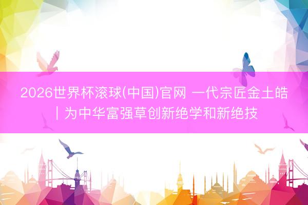 2026世界杯滚球(中国)官网 一代宗匠金土皓︱为中华富强草创新绝学和新绝技