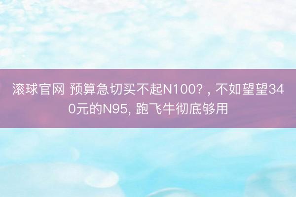 滚球官网 预算急切买不起N100? ， 不如望望340元的N95， 跑飞牛彻底够用