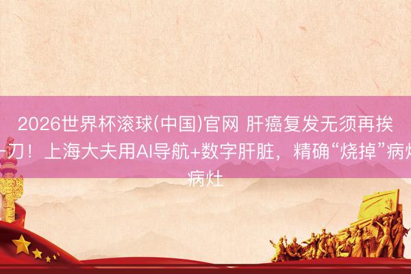 2026世界杯滚球(中国)官网 肝癌复发无须再挨一刀！上海大夫用AI导航+数字肝脏，精确“烧掉”病灶