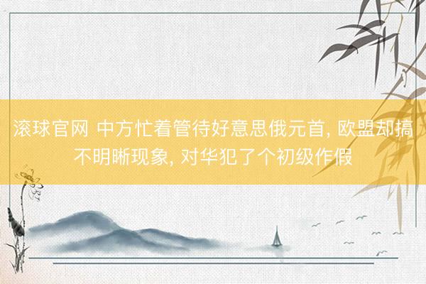 滚球官网 中方忙着管待好意思俄元首， 欧盟却搞不明晰现象， 对华犯了个初级作假