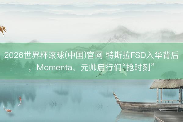 2026世界杯滚球(中国)官网 特斯拉FSD入华背后，Momenta、元帅启行们“抢时刻”