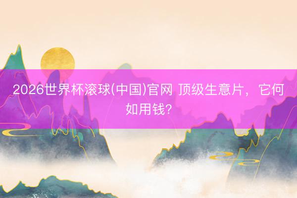 2026世界杯滚球(中国)官网 顶级生意片，它何如用钱？