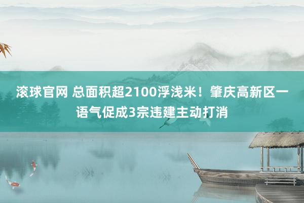 滚球官网 总面积超2100浮浅米!肇庆高新区一语气促成3宗违建主动打消